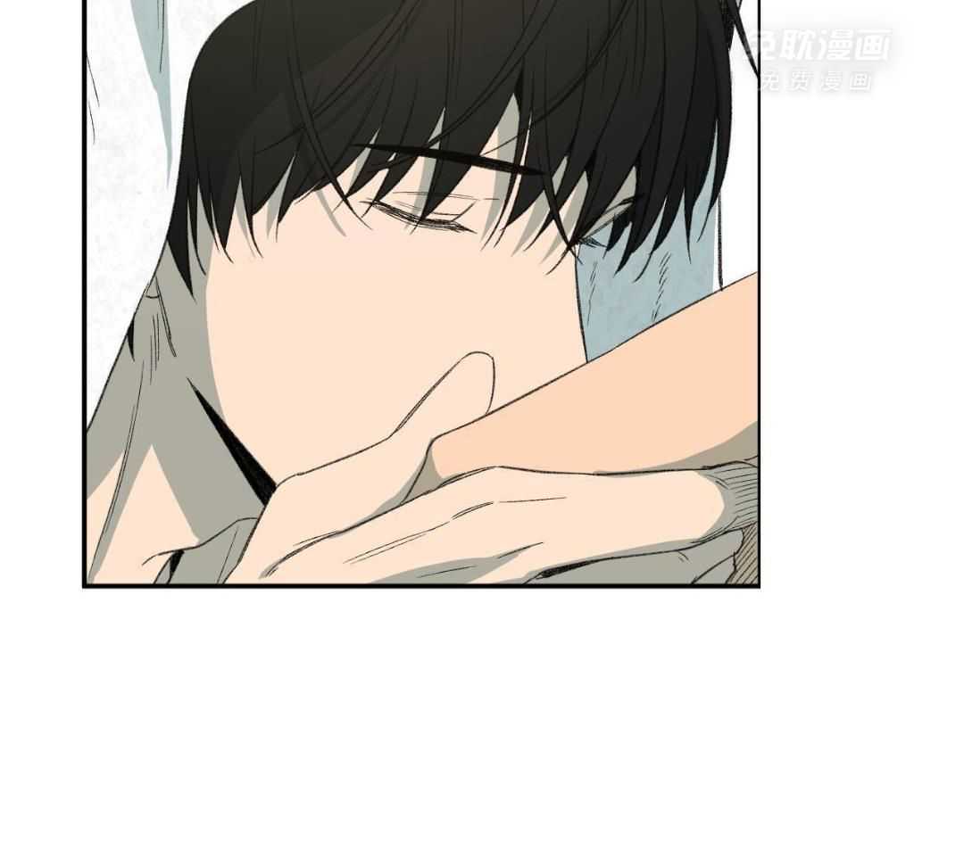 同情的形式（共3季） 第237话 第17页