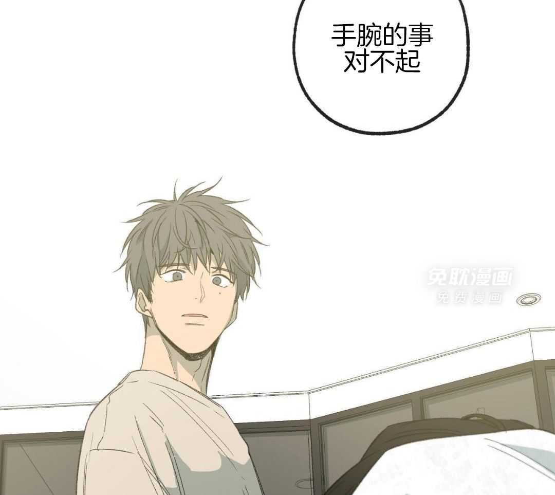 同情的形式（共3季） 第237话 第20页