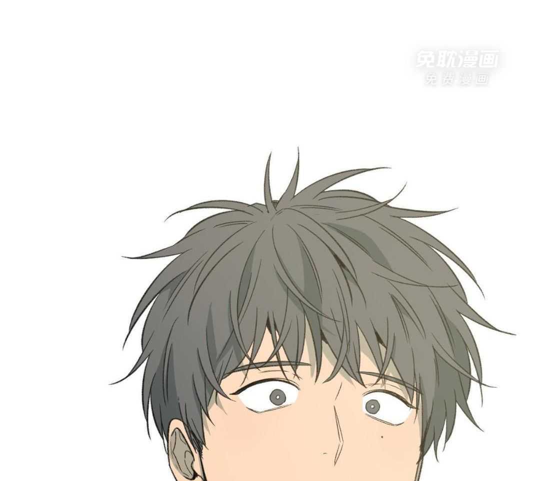 同情的形式（共3季） 第237话 第22页