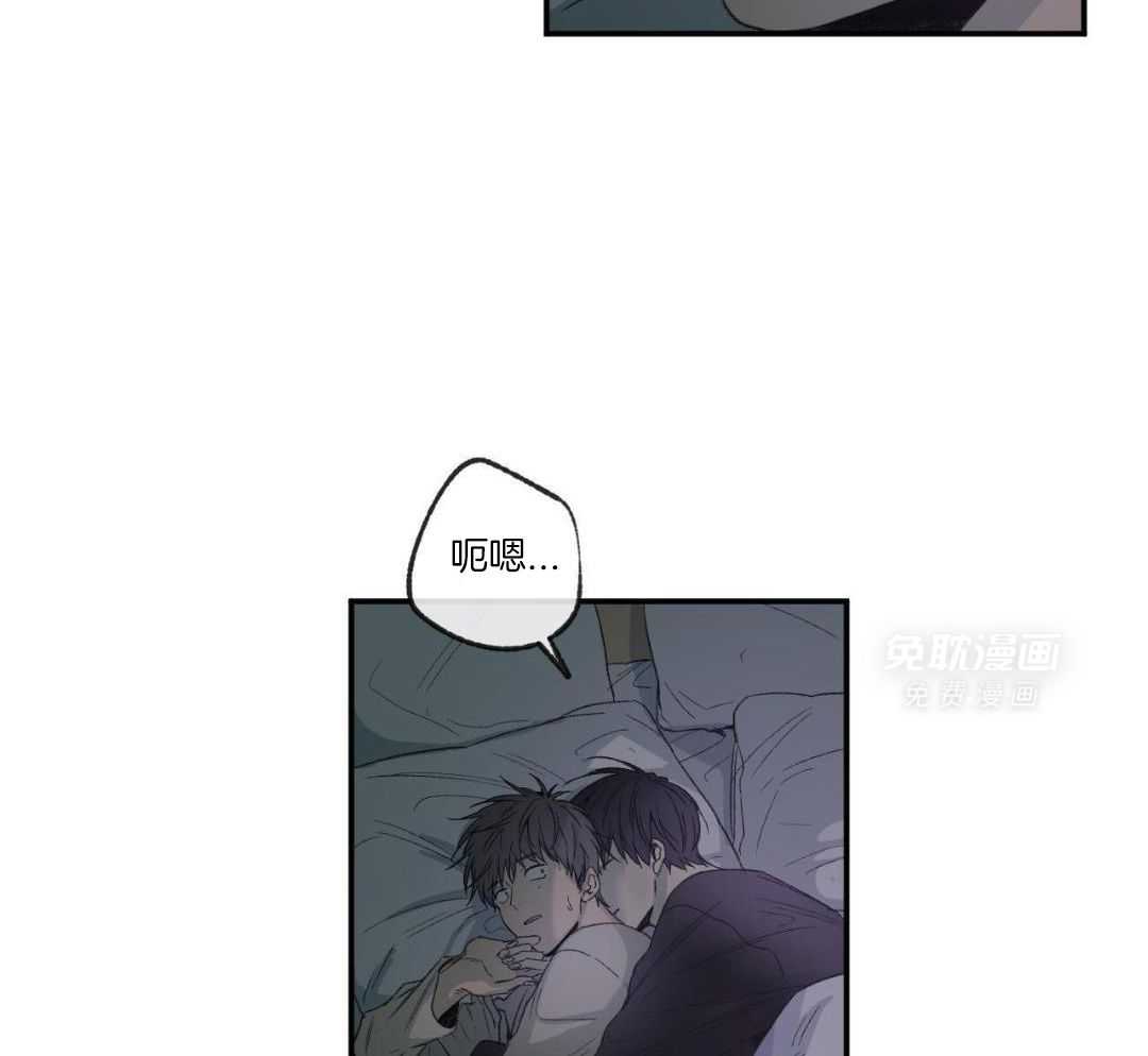 同情的形式（共3季） 第237话 第31页