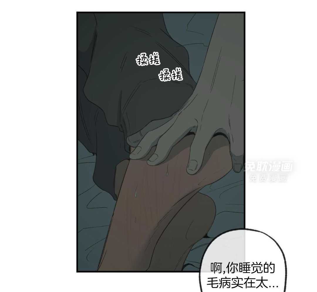 同情的形式（共3季） 第237话 第37页