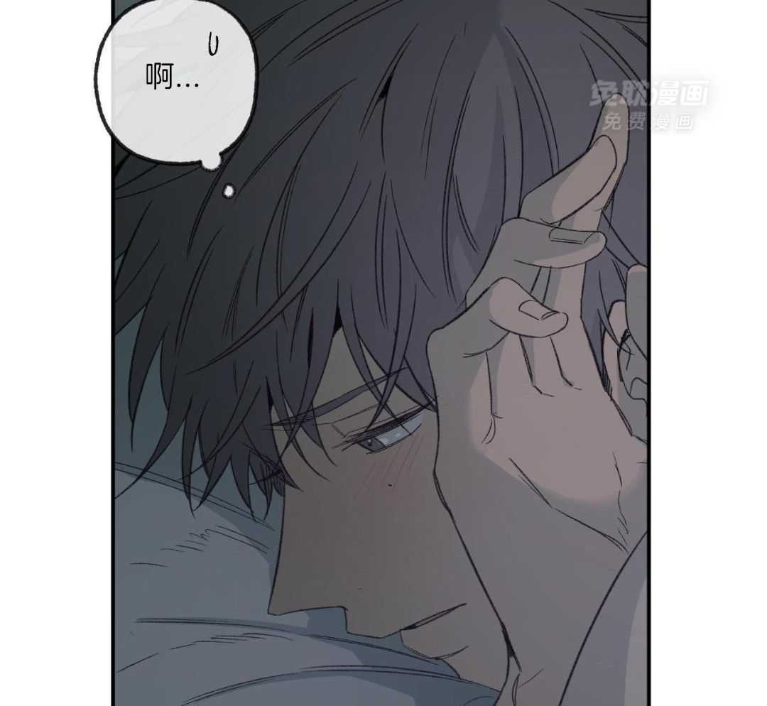 同情的形式（共3季） 第237话 第42页