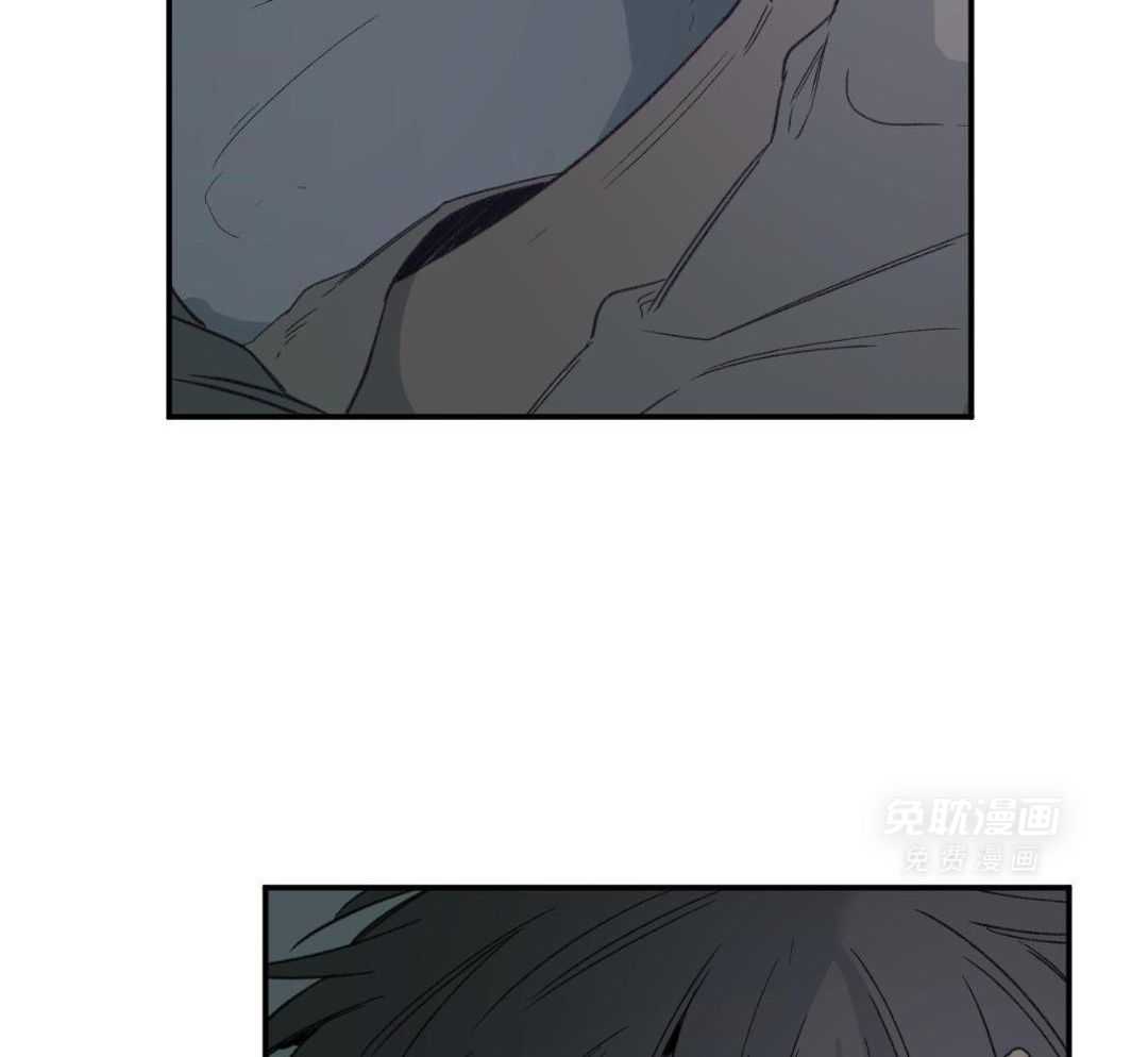 同情的形式（共3季） 第237话 第43页