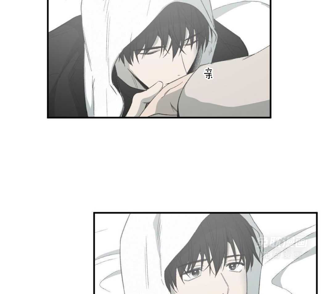 同情的形式（共3季） 第239话 第5页