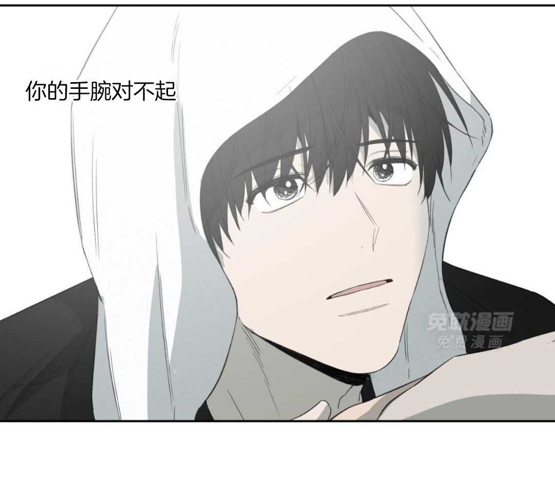 同情的形式（共3季）第239话图