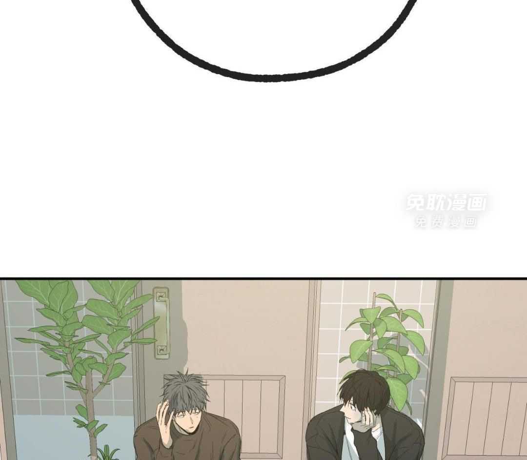 同情的形式（共3季） 第239话 第31页