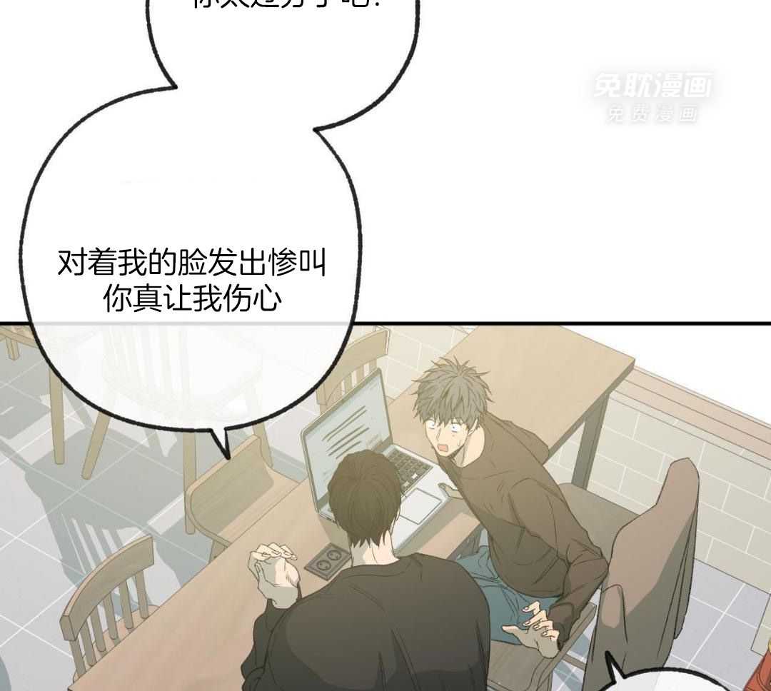 同情的形式（共3季） 第239话 第38页