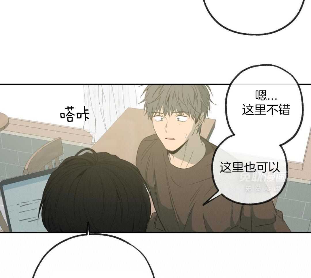 同情的形式（共3季） 第239话 第46页