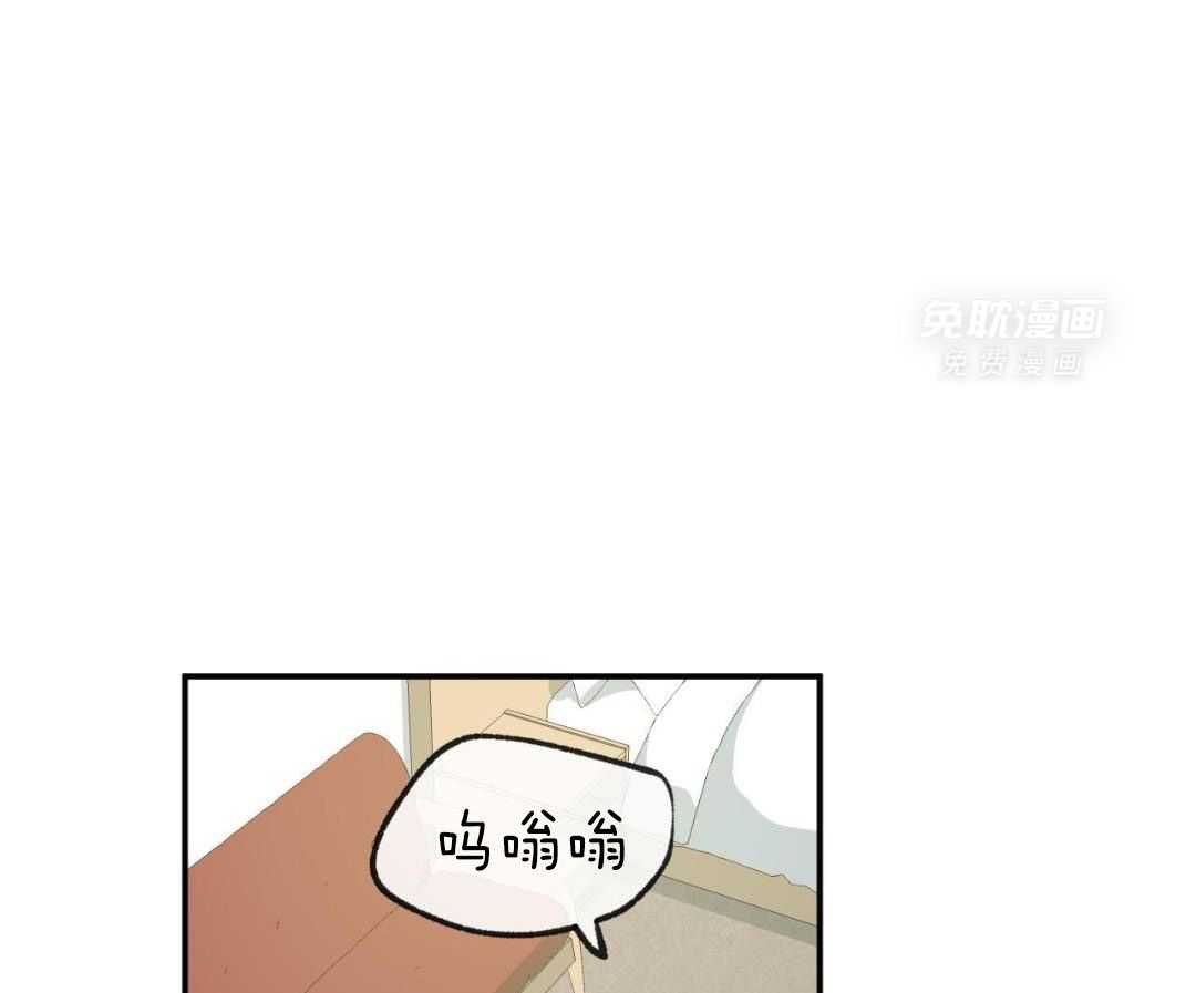 同情的形式（共3季） 第241话 第5页