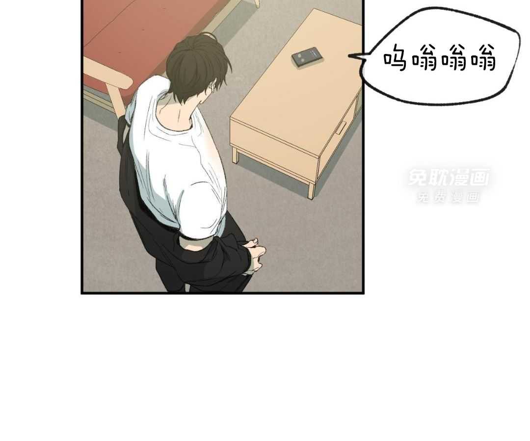 同情的形式（共3季） 第241话 第6页