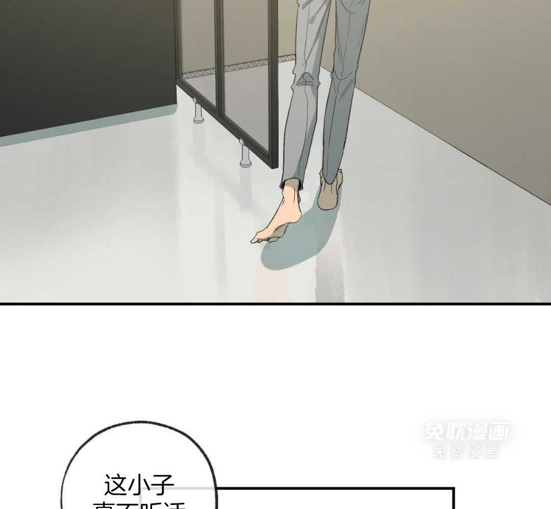 同情的形式（共3季） 第241话 第11页