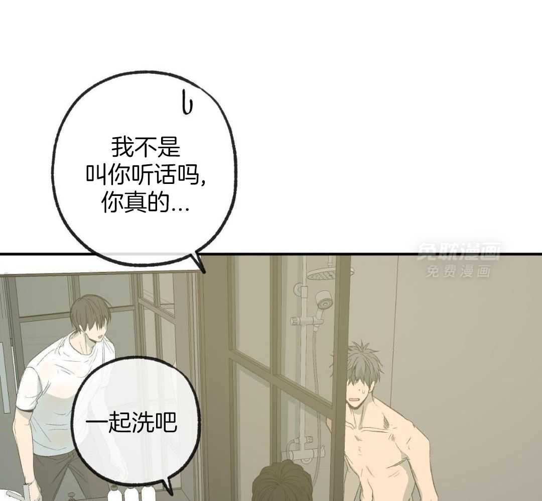 同情的形式（共3季） 第241话 第19页