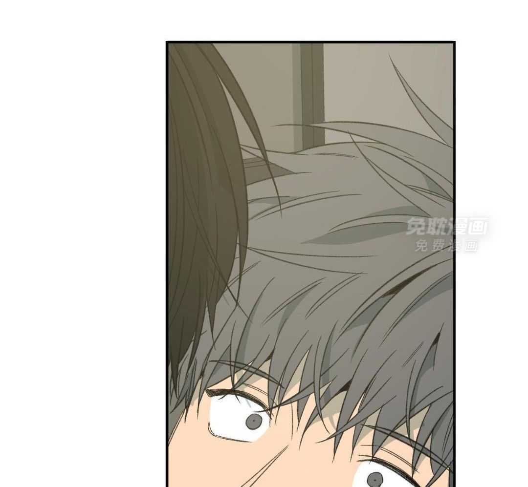 同情的形式（共3季） 第241话 第25页