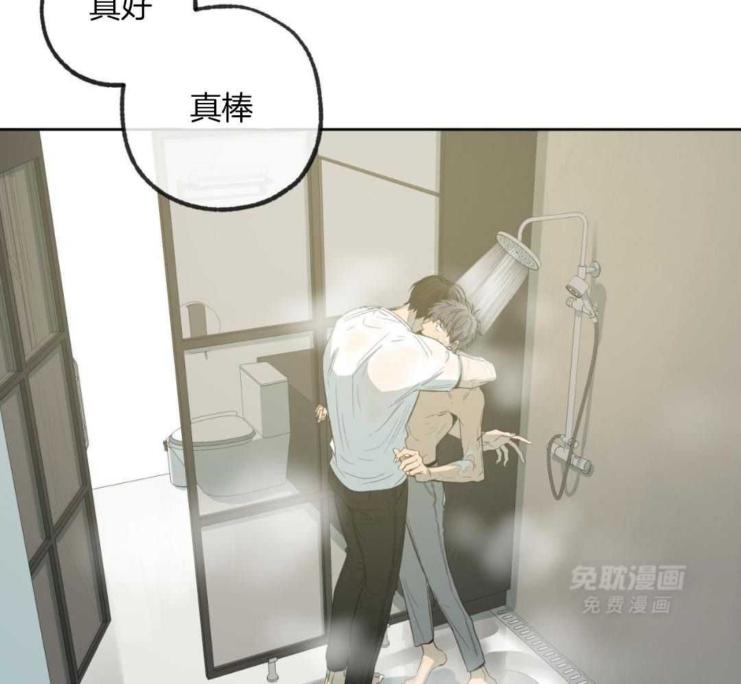 同情的形式（共3季） 第241话 第31页