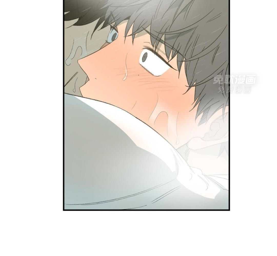 同情的形式（共3季） 第241话 第33页