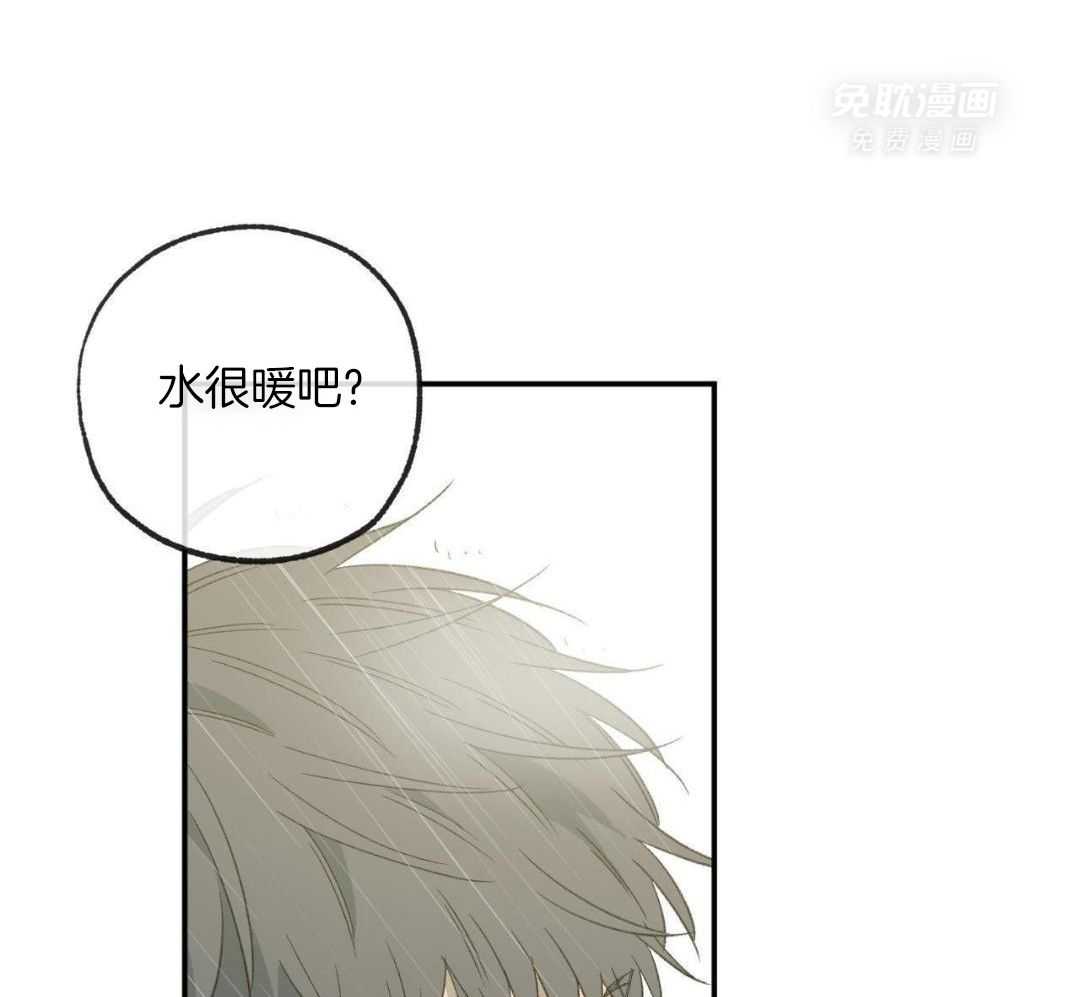 同情的形式（共3季） 第241话 第36页