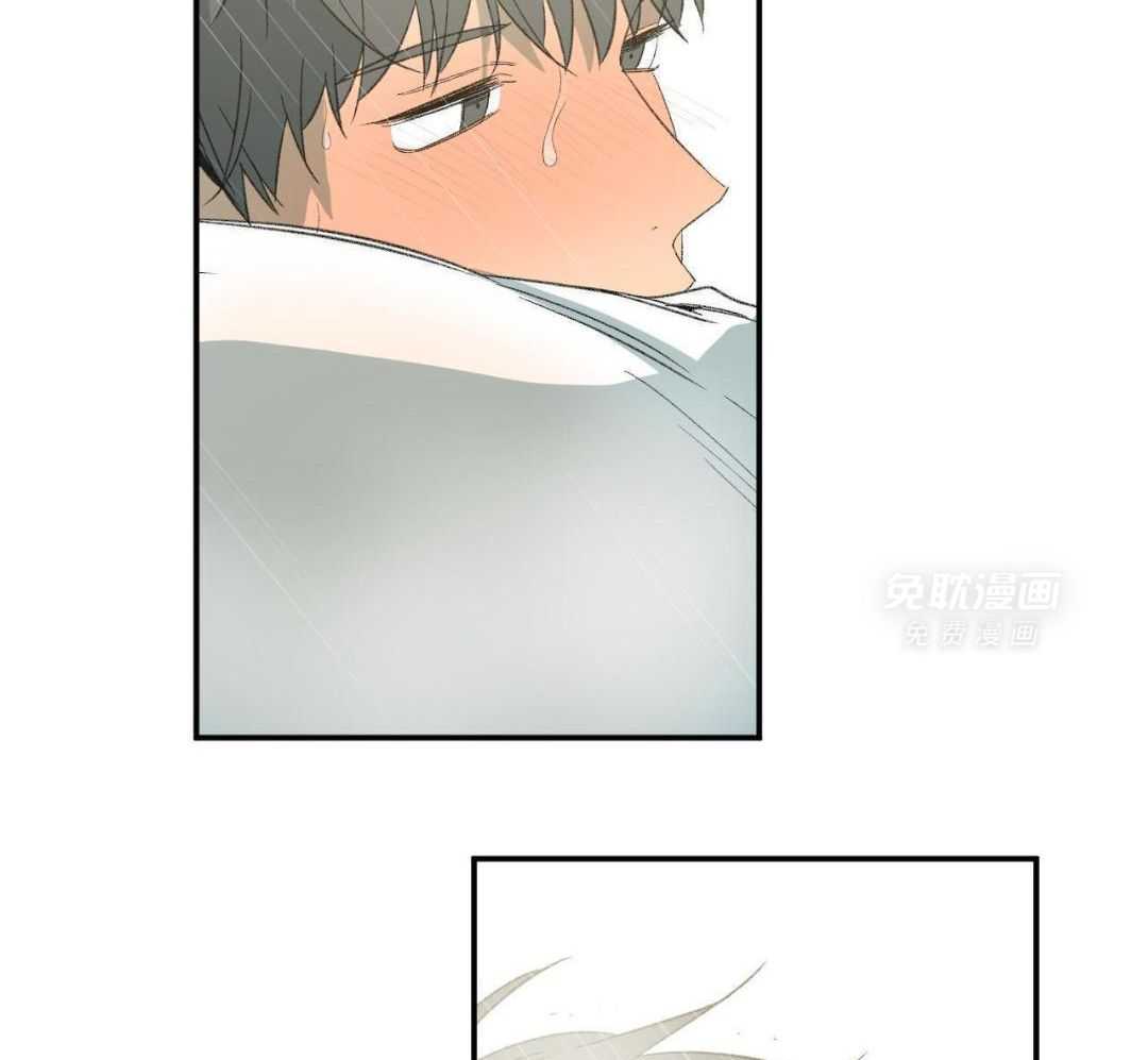 同情的形式（共3季） 第241话 第37页