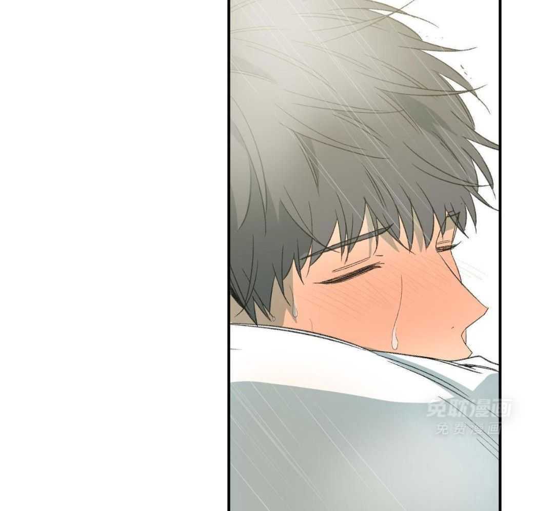 同情的形式（共3季） 第241话 第38页