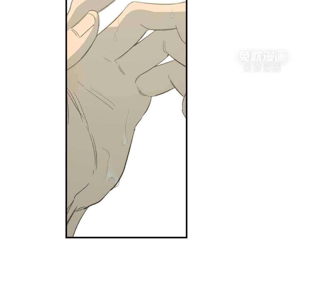 同情的形式（共3季） 第241话 第40页