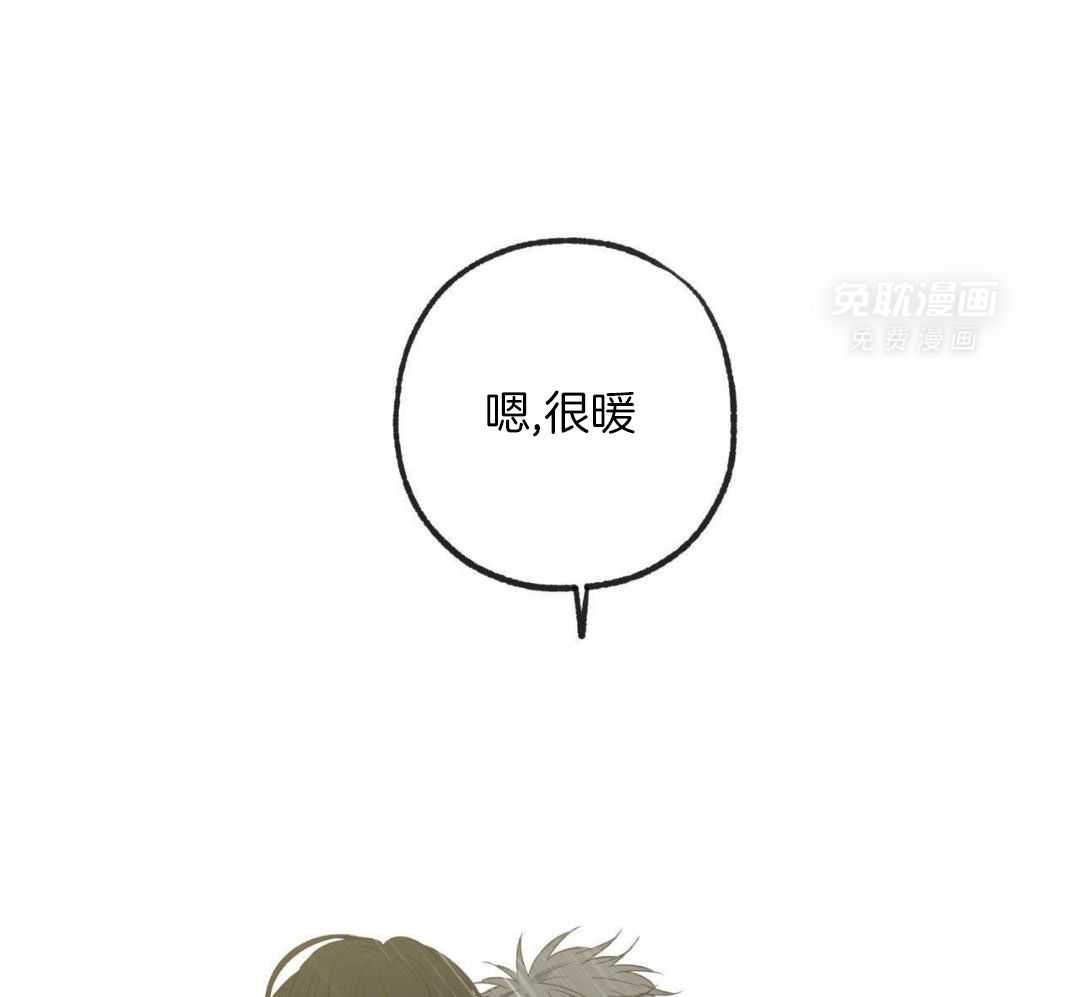 同情的形式（共3季） 第241话 第41页