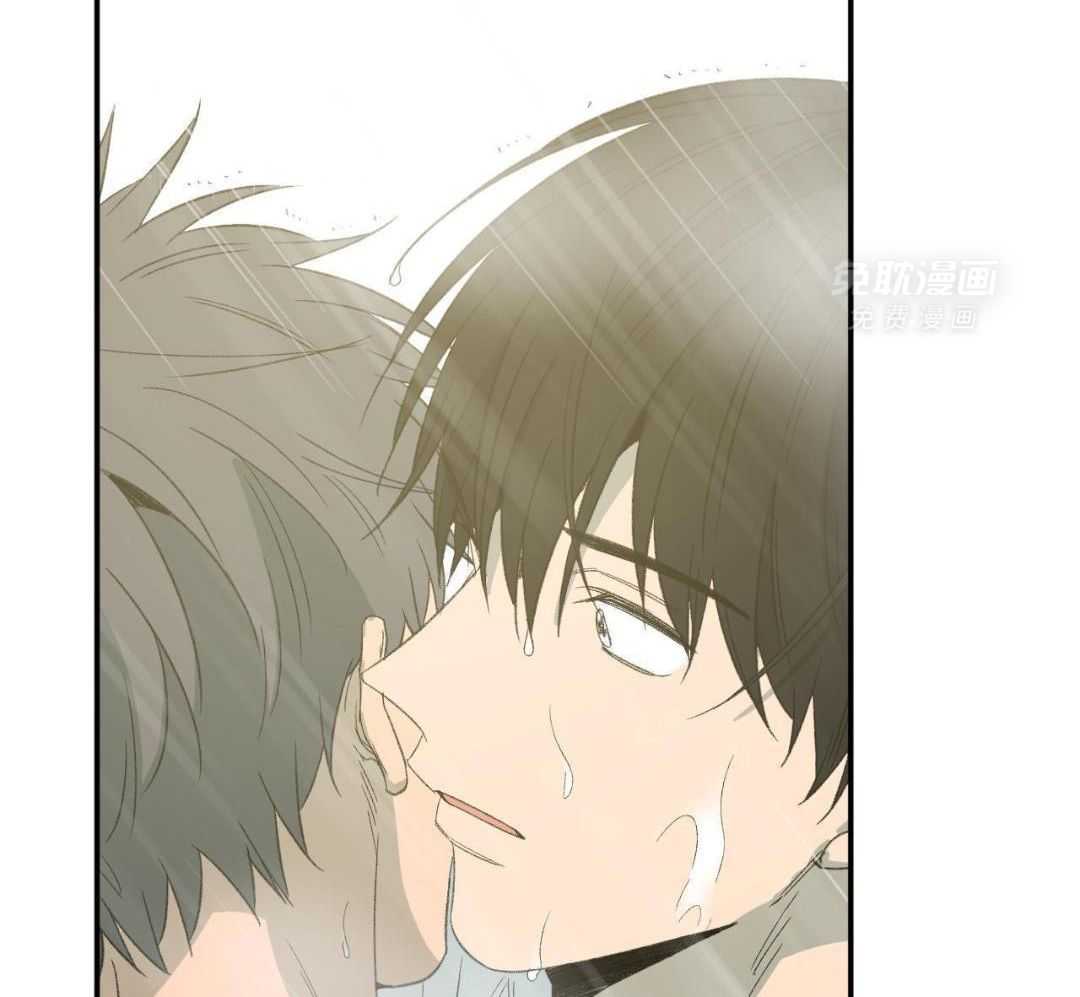 同情的形式（共3季） 第241话 第43页