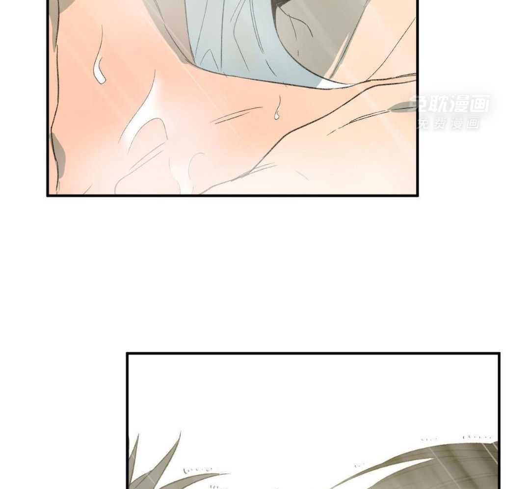 同情的形式（共3季） 第241话 第44页