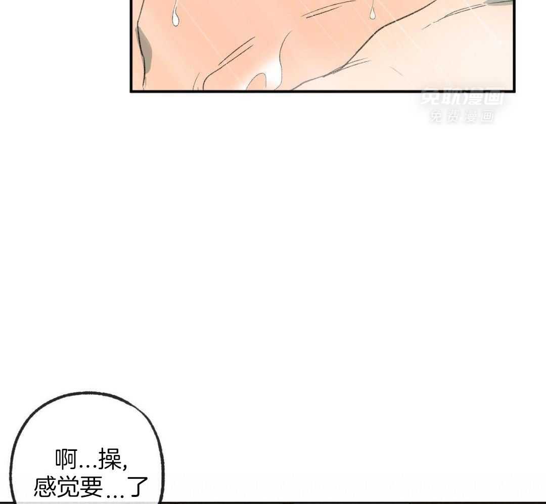 同情的形式（共3季） 第241话 第46页