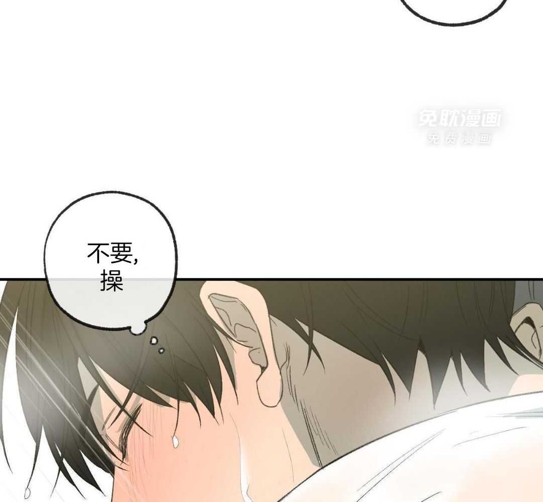 同情的形式（共3季） 第241话 第48页