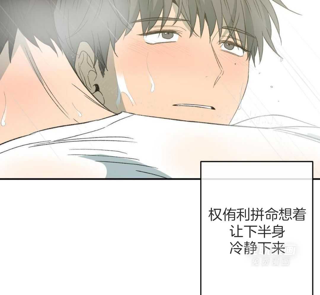 同情的形式（共3季） 第241话 第50页