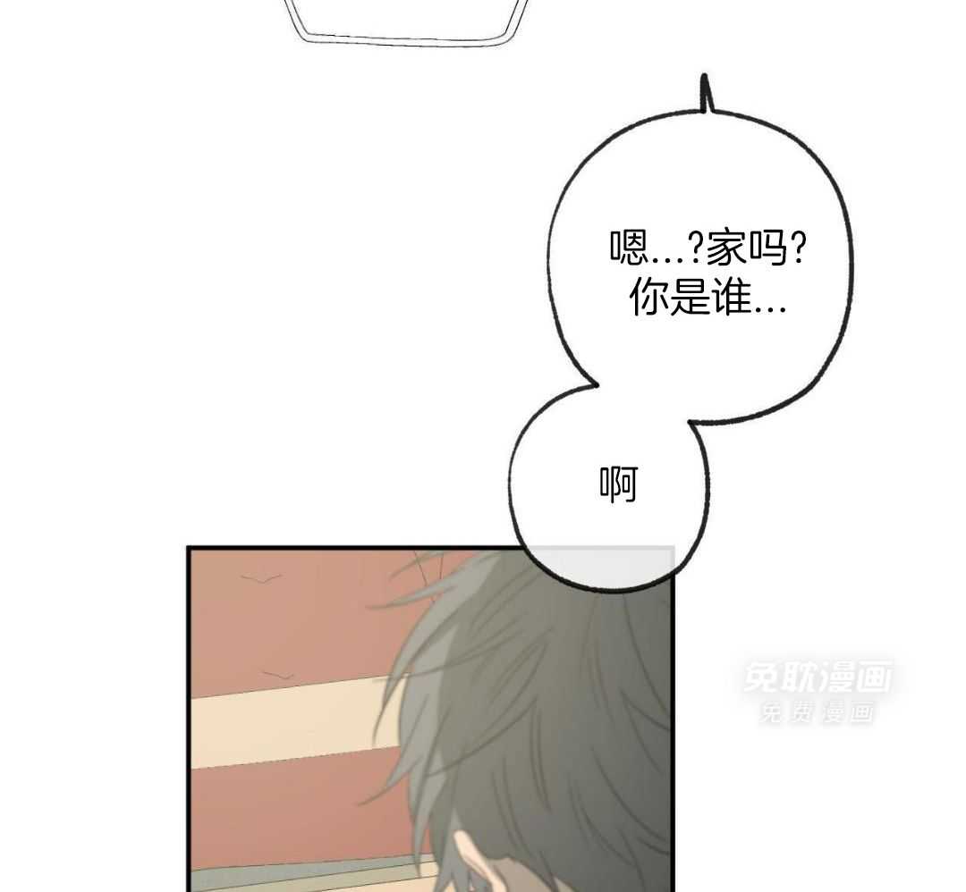 同情的形式（共3季） 第242话 第4页