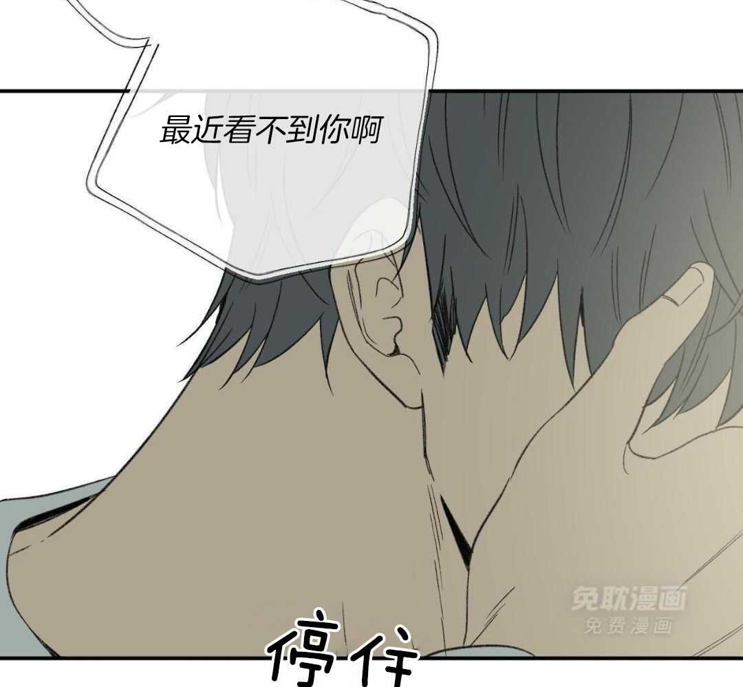 同情的形式（共3季） 第242话 第9页