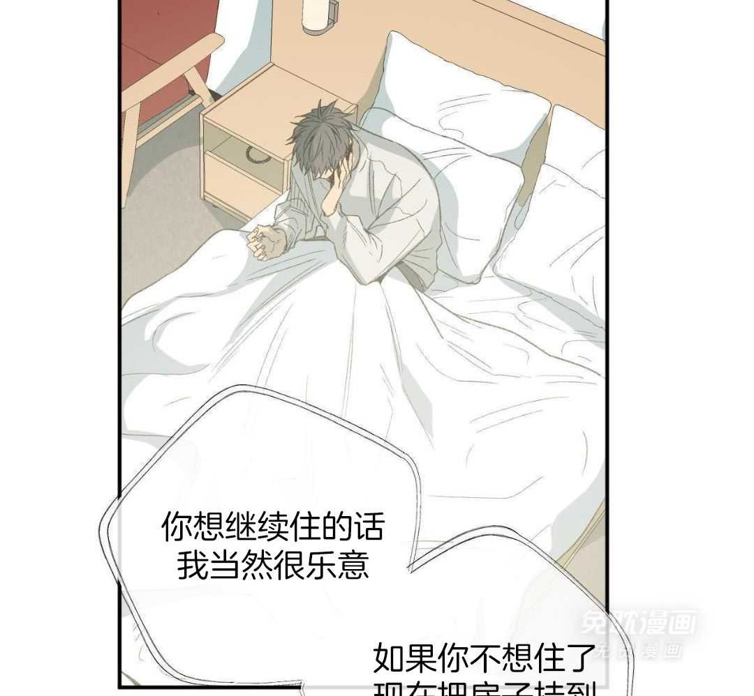 同情的形式（共3季） 第242话 第11页