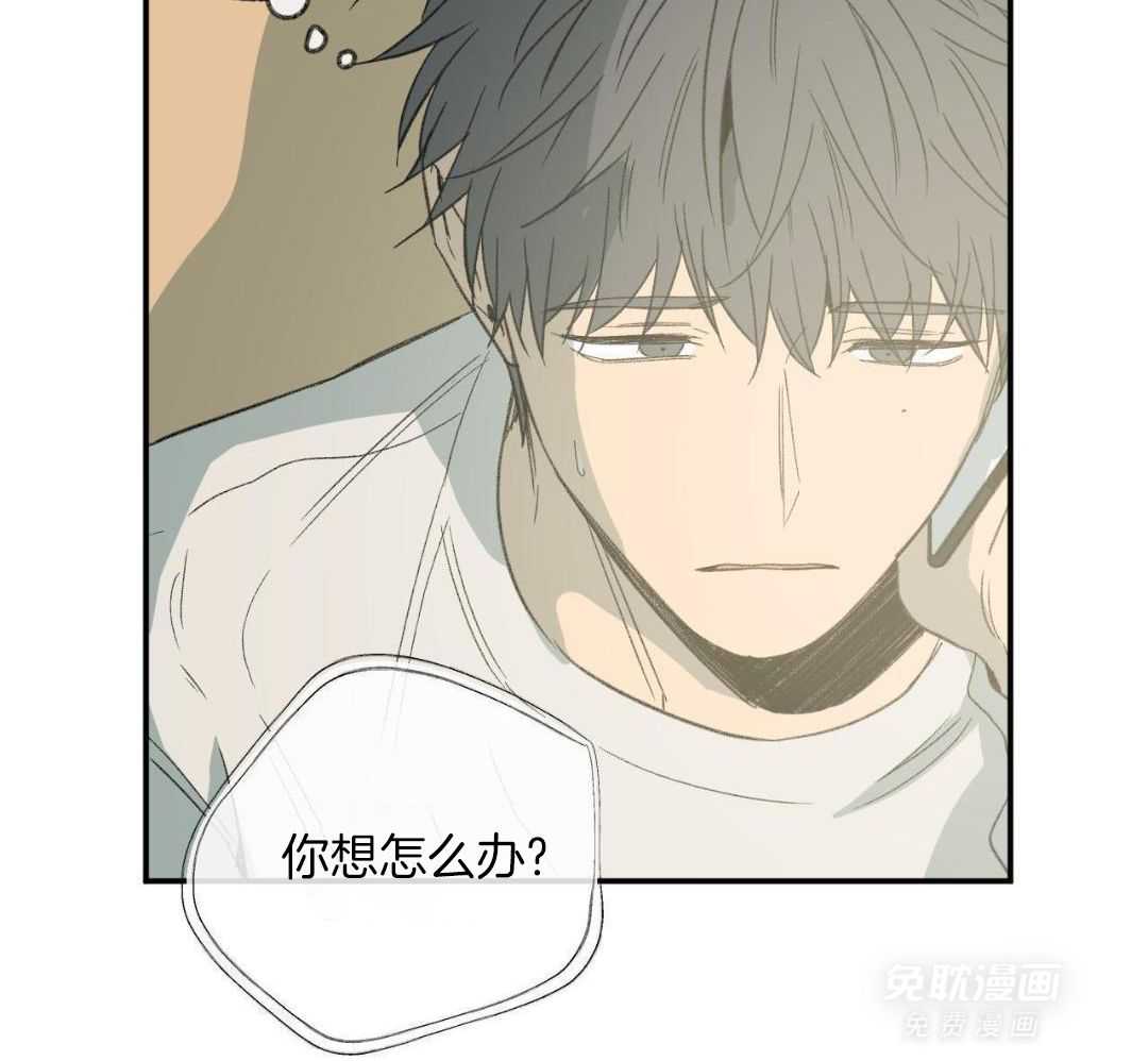 同情的形式（共3季） 第242话 第13页