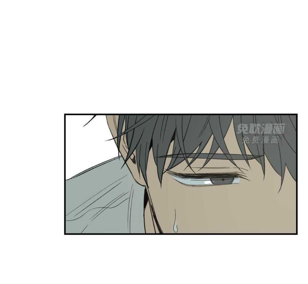 同情的形式（共3季） 第242话 第14页