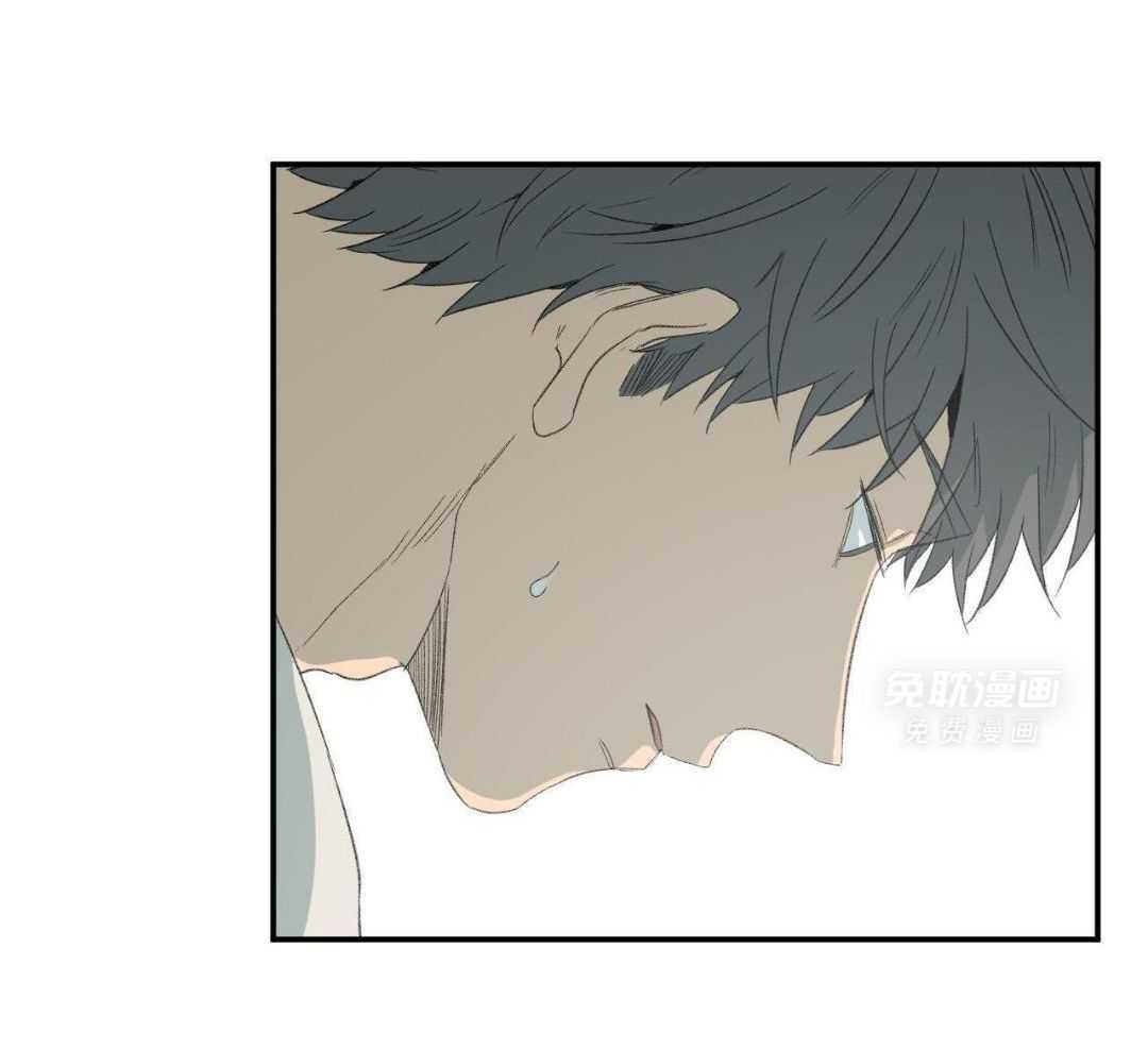 同情的形式（共3季） 第242话 第21页