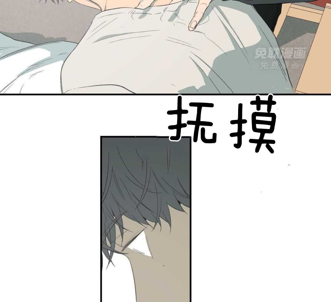 同情的形式（共3季） 第242话 第26页