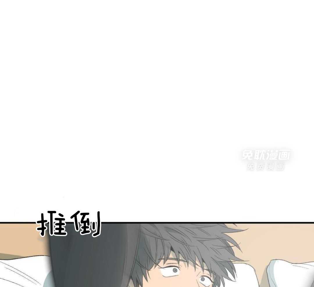 同情的形式（共3季） 第242话 第31页