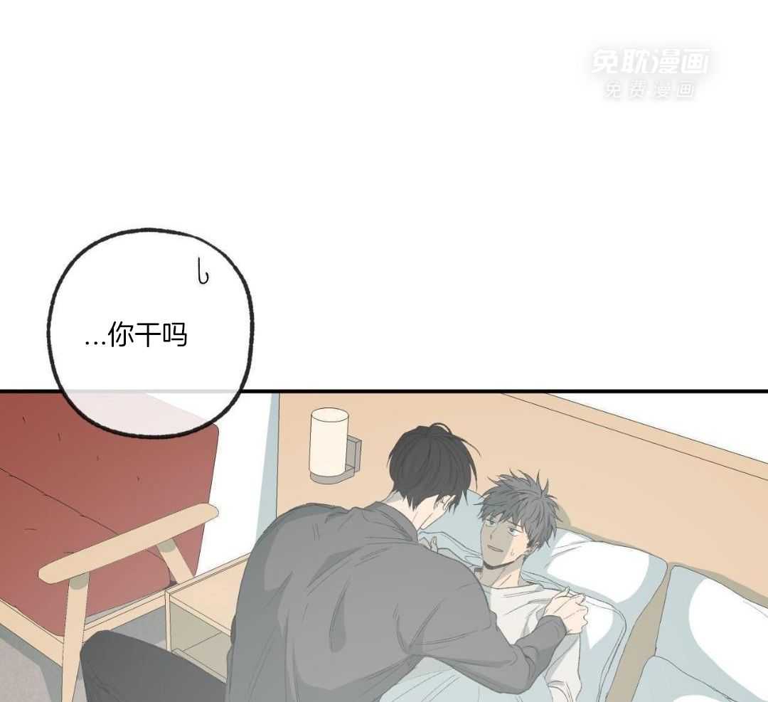 同情的形式（共3季） 第242话 第33页