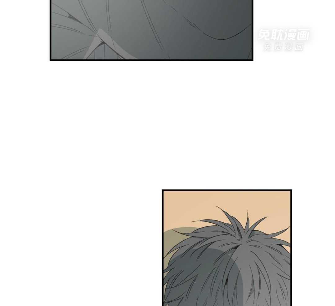 同情的形式（共3季） 第242话 第36页