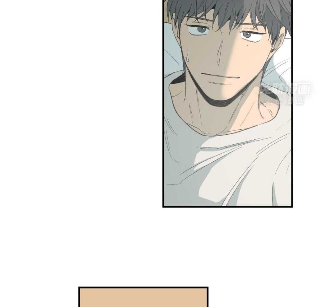 同情的形式（共3季） 第242话 第37页