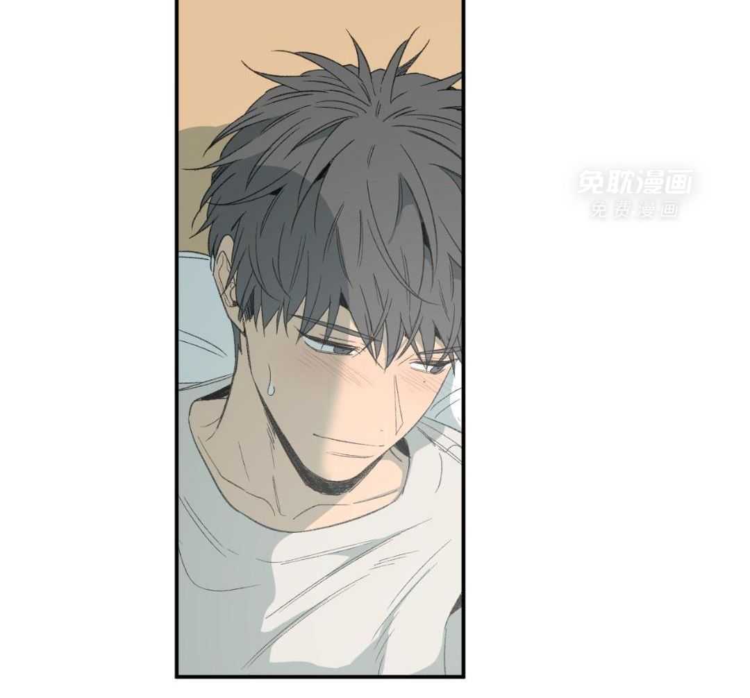 同情的形式（共3季） 第242话 第38页