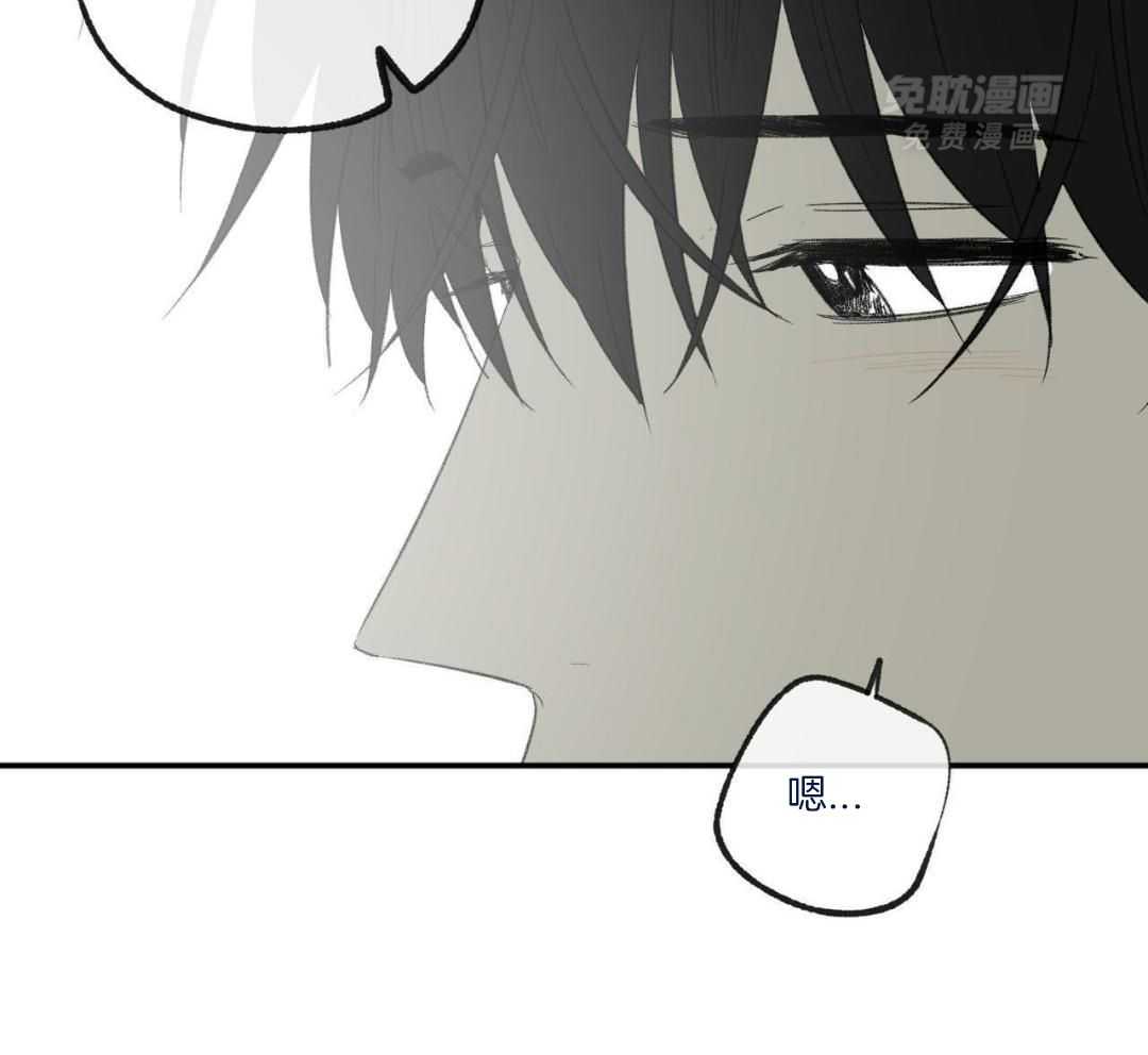 同情的形式（共3季） 第242话 第40页