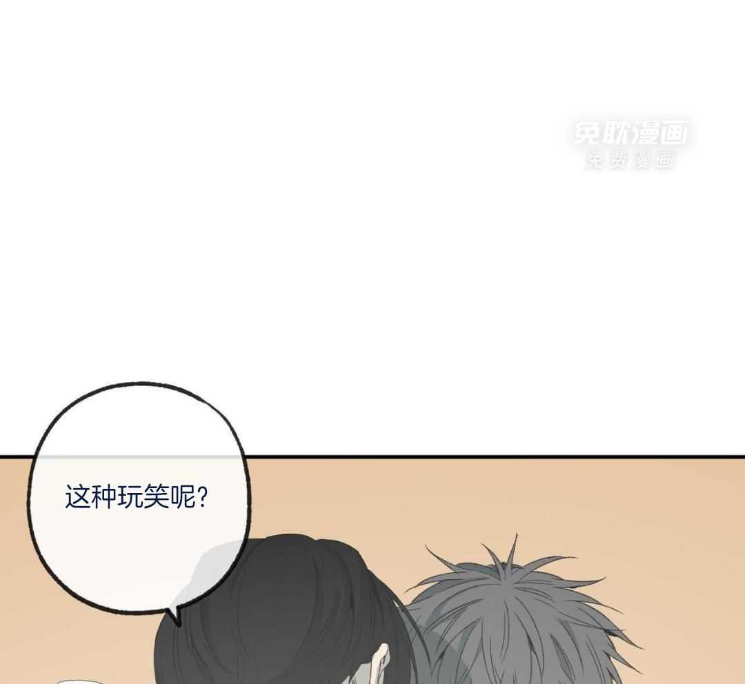 同情的形式（共3季） 第242话 第41页