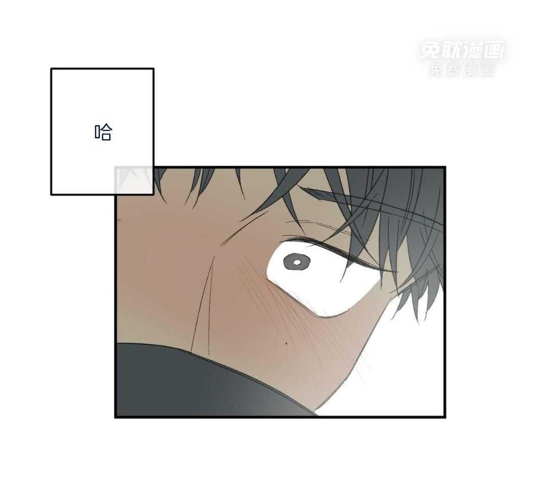 同情的形式（共3季） 第242话 第43页