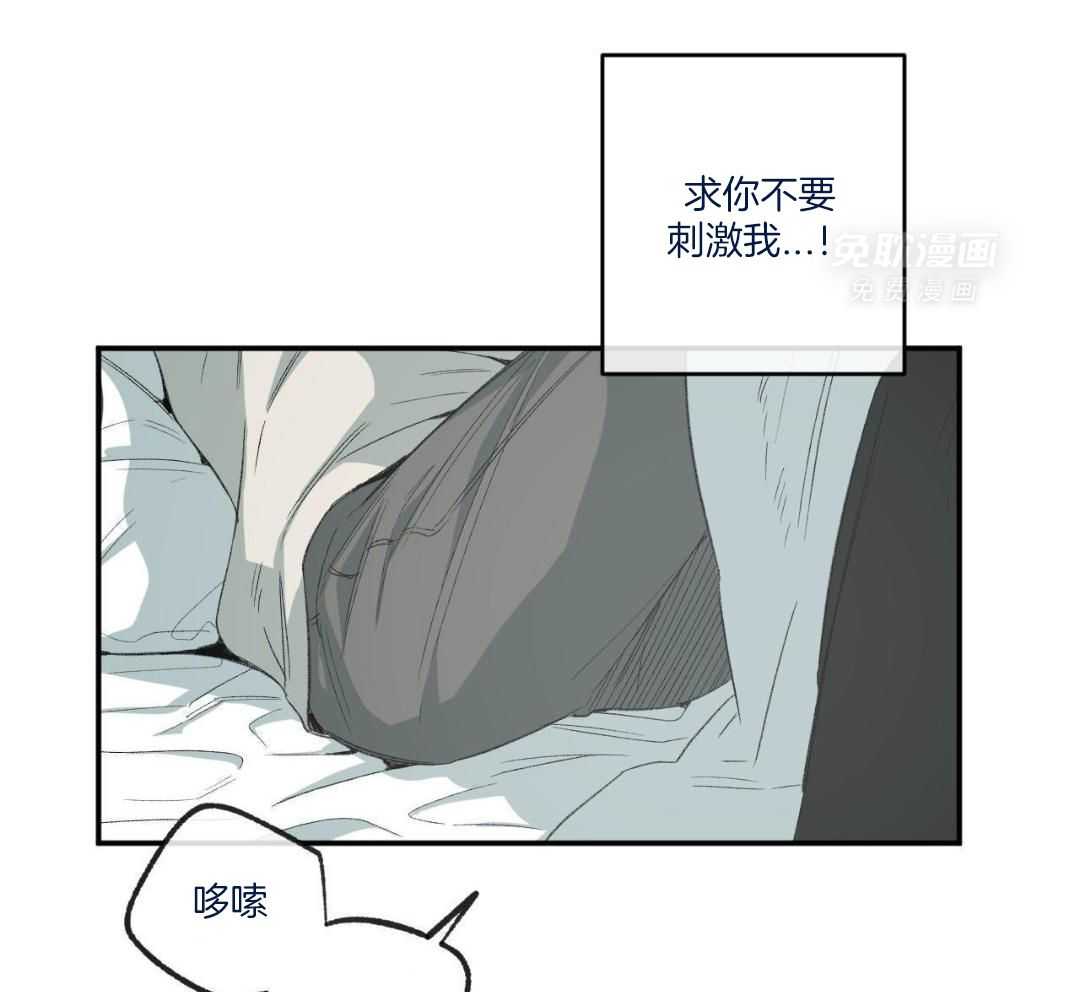 同情的形式（共3季） 第242话 第44页