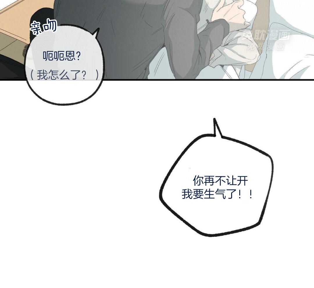 同情的形式（共3季） 第242话 第47页