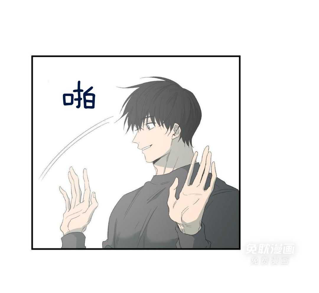 同情的形式（共3季） 第242话 第48页