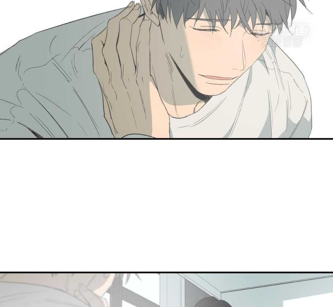 同情的形式（共3季） 第243话 第4页