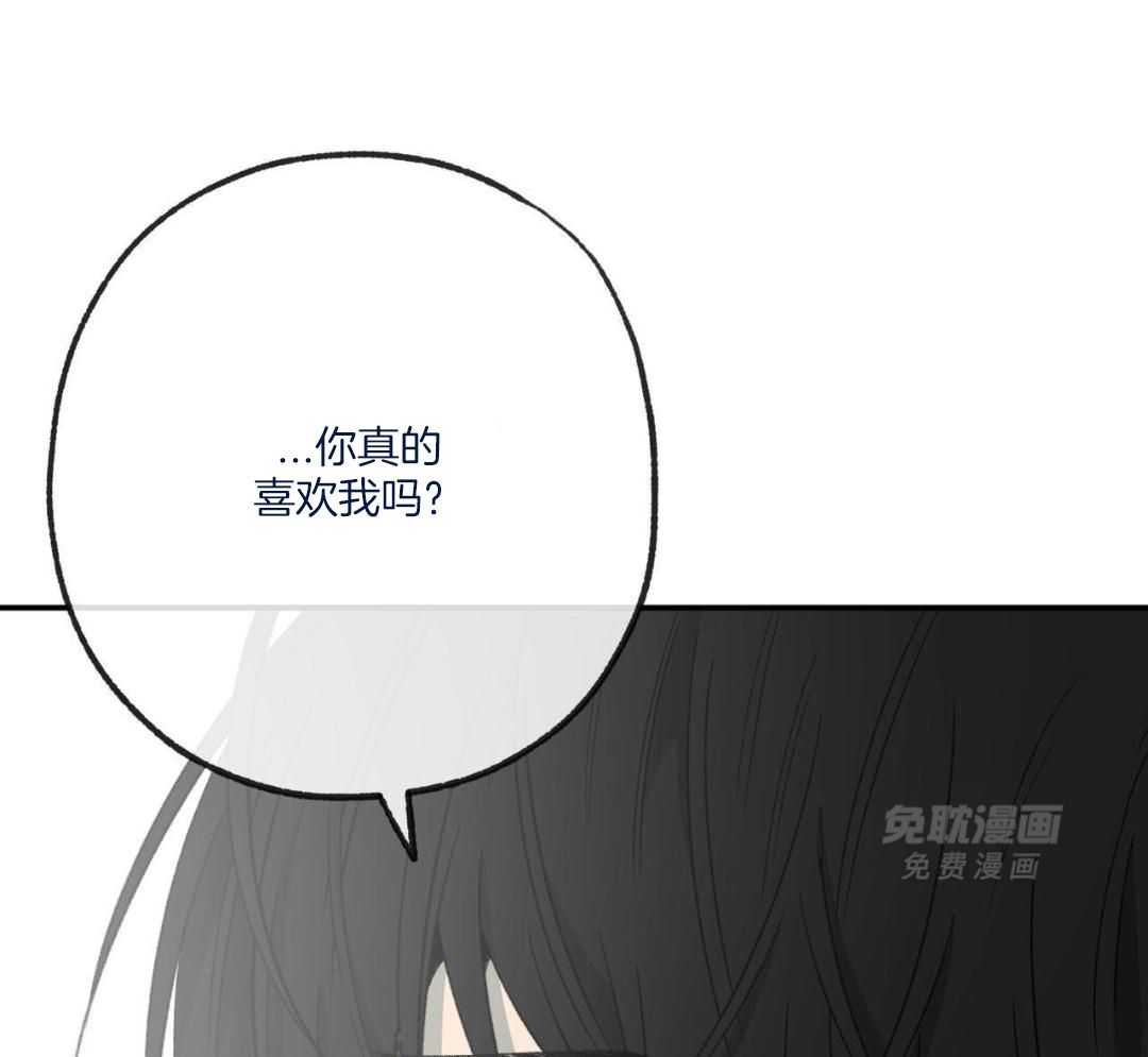 同情的形式（共3季） 第243话 第13页