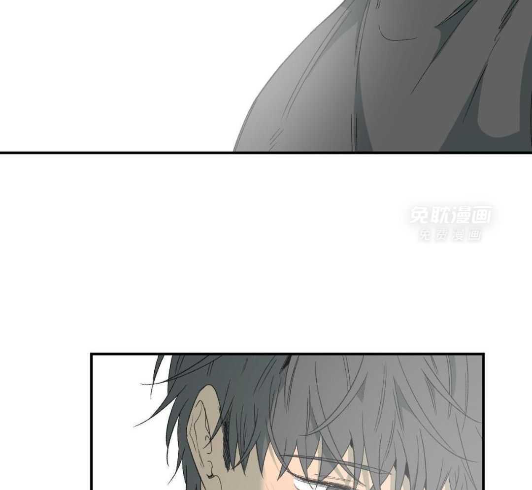 同情的形式（共3季） 第243话 第15页